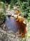  jeden z přítoků Sloupského potoka s typickou barvou vody z rašelinišť